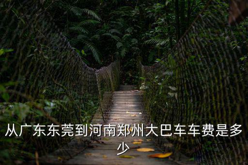 從廣東東莞到河南鄭州大巴車車費(fèi)是多少