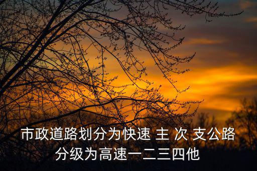 市政道路劃分為快速 主 次 支公路分級為高速一二三四他