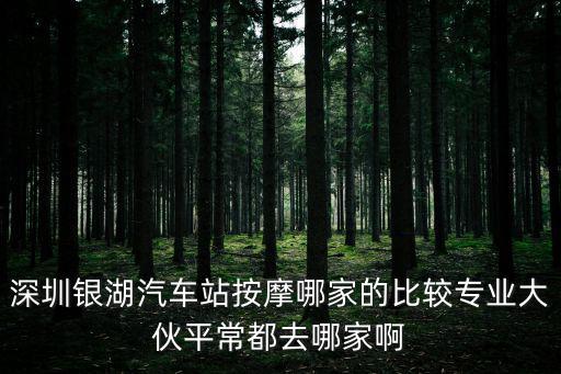 深圳洪浪北按摩，深圳白石洲龍之宮的按摩3號技師能做 嗎 龍之宮里的基本都提供X