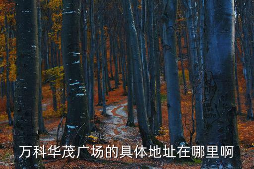 萬科華茂廣場的具體地址在哪里啊