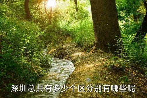 深圳總共有多少個區分別有哪些呢