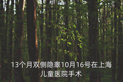 13個月雙側隱睪10月16號在上海兒童醫院手術