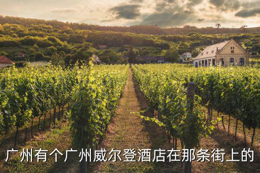 廣州有個廣州威爾登酒店在那條街上的