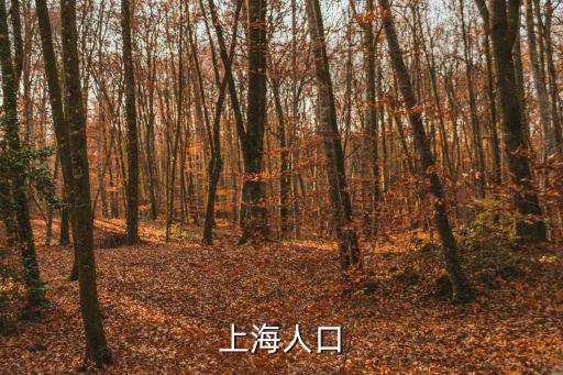 上海人口