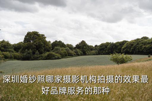 深圳婚紗照哪家攝影機構拍攝的效果最好品牌服務的那種