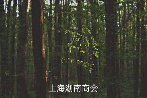 上海湖南商會