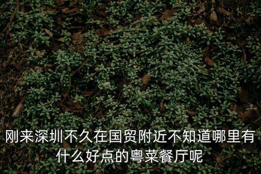 剛來深圳不久在國貿附近不知道哪里有什么好點的粵菜餐廳呢