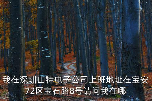 我在深圳山特電子公司上班地址在寶安72區(qū)寶石路8號請問我在哪