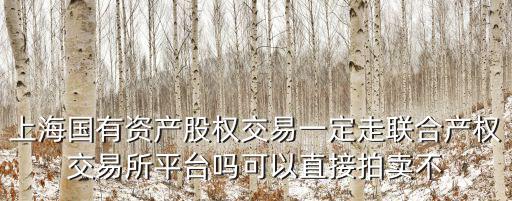 上海國有資產股權交易一定走聯合產權交易所平臺嗎可以直接拍賣不