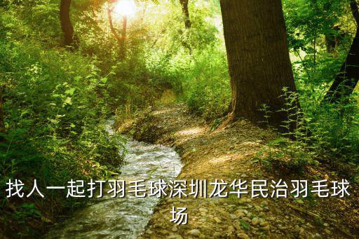 深圳找人打人，找人一起打羽毛球深圳龍華民治羽毛球場