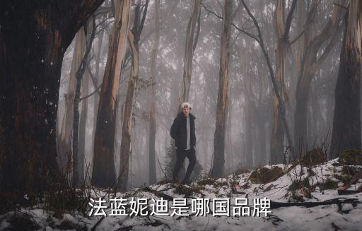 法藍妮迪是哪國品牌