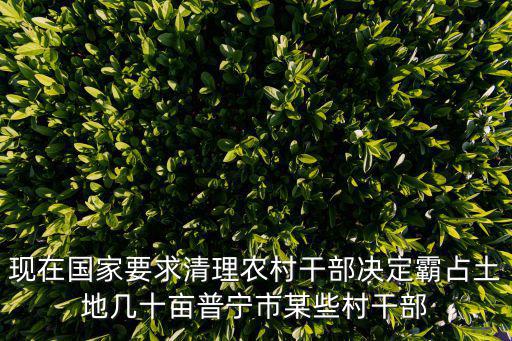 現(xiàn)在國家要求清理農(nóng)村干部決定霸占土地幾十畝普寧市某些村干部