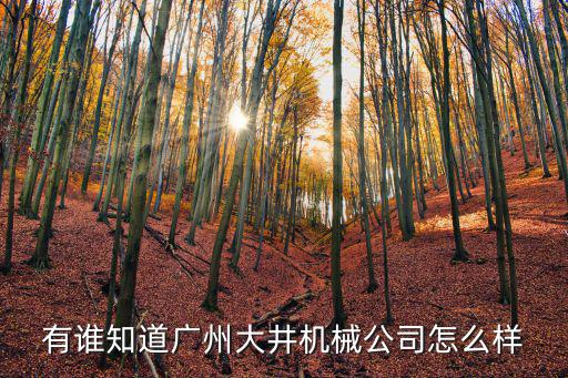 有誰知道廣州大井機械公司怎么樣