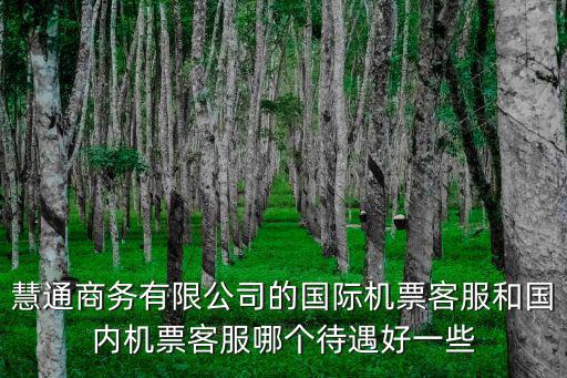 慧通商務(wù)有限公司的國(guó)際機(jī)票客服和國(guó)內(nèi)機(jī)票客服哪個(gè)待遇好一些