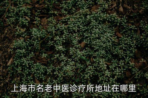 上海市名老中醫(yī)診療所地址在哪里