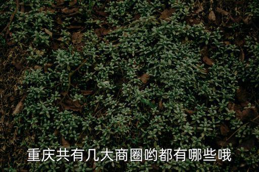 重慶共有幾大商圈喲都有哪些哦