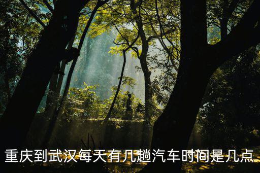 重慶市到武漢汽車，重慶到武漢汽車票多少錢