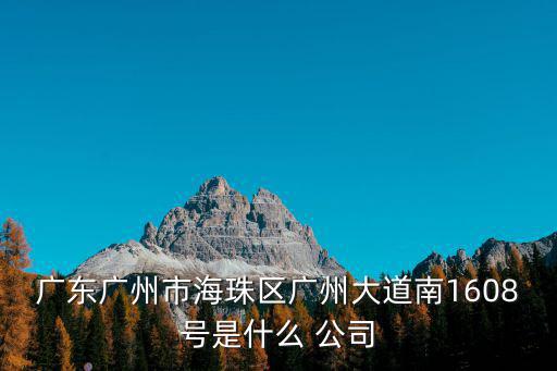 廣東廣州市海珠區(qū)廣州大道南1608號(hào)是什么 公司