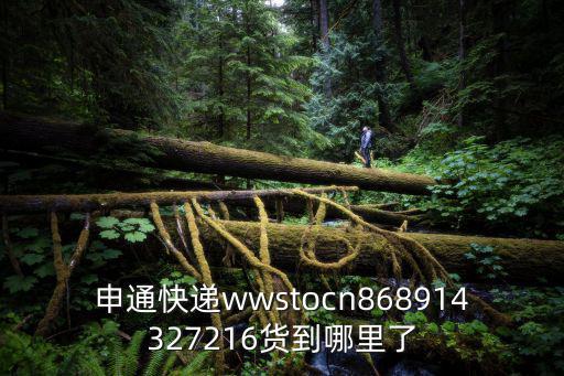 申通快遞wwstocn868914327216貨到哪里了