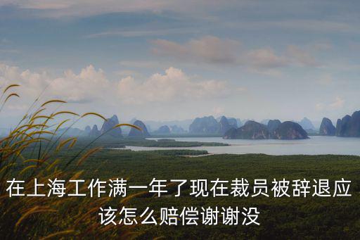 在上海工作滿一年了現(xiàn)在裁員被辭退應(yīng)該怎么賠償謝謝沒