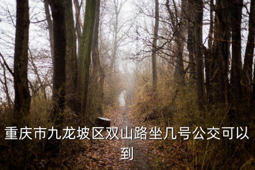 重慶市九龍坡區(qū)雙山路坐幾號公交可以到