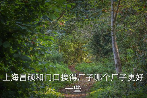上海昌碩和門口挨得廠子哪個(gè)廠子更好一些