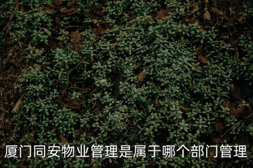 廈門同安物業管理是屬于哪個部門管理
