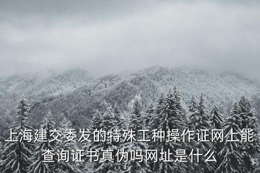 上海建交委發的特殊工種操作證網上能查詢證書真偽嗎網址是什么