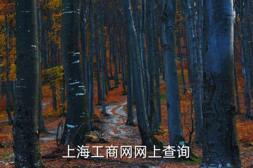 上海市工商局官網(wǎng)公示系統(tǒng)，上海工商網(wǎng)網(wǎng)上查詢