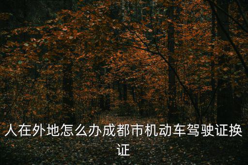 人在外地怎么辦成都市機動車駕駛證換證