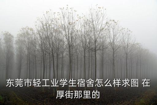 東莞市輕工業學生宿舍怎么樣求圖 在厚街那里的