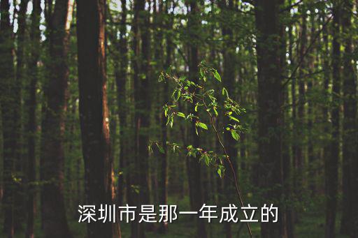 深圳的成立，深圳是什么時候建市的