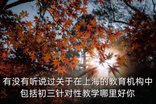 有沒有聽說過關(guān)于在上海的教育機(jī)構(gòu)中包括初三針對(duì)性教學(xué)哪里好你