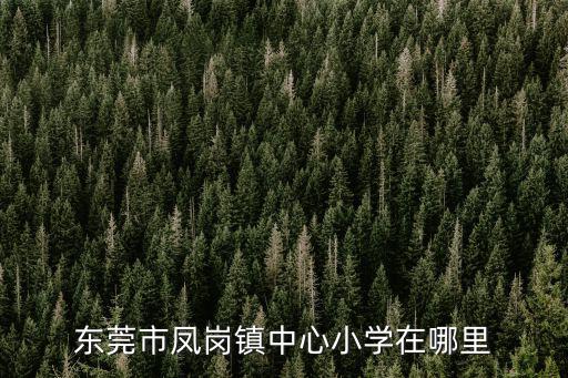 東莞市鳳崗鎮中心小學在哪里