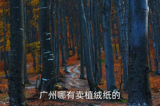 廣州在哪買植絨，廣州哪里有絨布賣啊最好是天河這邊