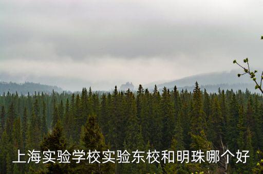 上海實驗學校實驗東校和明珠哪個好