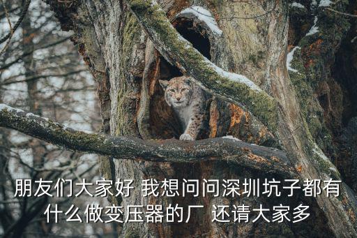 朋友們大家好 我想問問深圳坑子都有什么做變壓器的廠 還請大家多