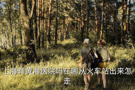 上海有黃海醫院嗎在哪從火車站出來怎走