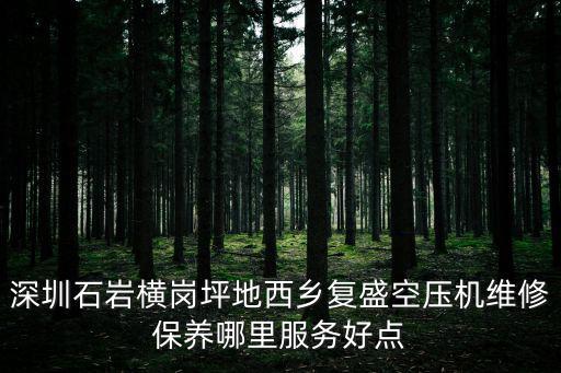 深圳石巖橫崗坪地西鄉復盛空壓機維修保養哪里服務好點