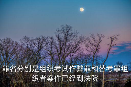罪名分別是組織考試作弊罪和替考罪組織者案件已經到法院