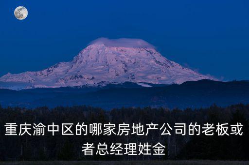 重慶渝中區的哪家房地產公司的老板或者總經理姓金