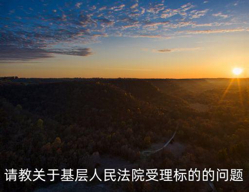 請教關于基層人民法院受理標的的問題