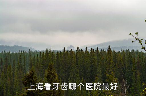 上海看牙齒哪個醫院最好