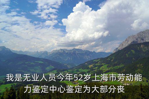 我是無業(yè)人員今年52歲上海市勞動能力鑒定中心鑒定為大部分喪