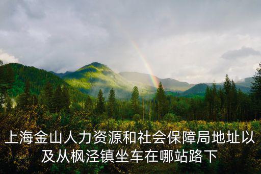 上海市金山區人力資源，金山區人才市場在哪里