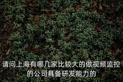 請問上海有哪幾家比較大的做視頻監控的公司具備研發能力的