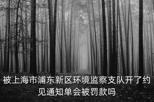 上海市環境保護行政處罰，上海沒有環保標志怎么處罰