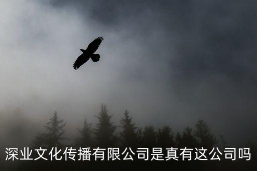 深圳市尚流社匯文化傳播有限公司，深業文化傳播有限公司是真有這公司嗎