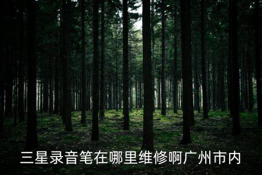 三星錄音筆在哪里維修啊廣州市內