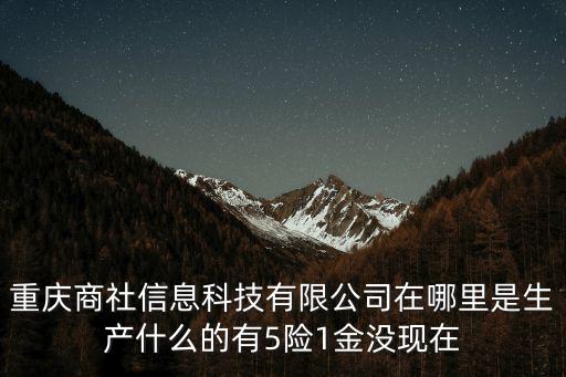 重慶商社信息科技有限公司在哪里是生產什么的有5險1金沒現在